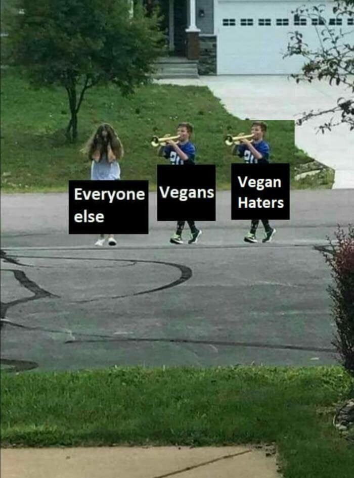 Vegans Vegan уегуопе 8 Haters else у