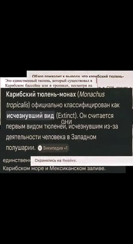 смертельно любила этот и другие видосы авторов в школе