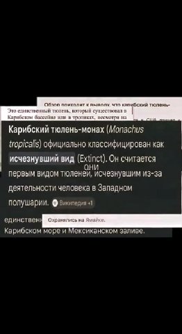 смертельно любила этот и другие видосы авторов в школе