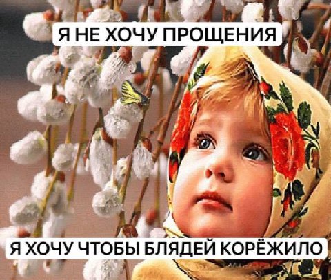 Я НЕ ХОЧУ ПРОЩЕНИЯ Я ХОЧУ ЧТОБЫ БЛЯДЕИ КОРЕЖИЛО