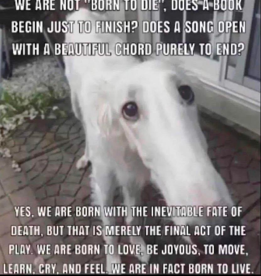 НАЕ НУР, DUAN BEGIN FINISH? DOES A SONG OPEN WITH A CHORD PURELY ТО END? YES. WE ДВЕ BORN WITH THE INEVITABLE FATE OF DEATH. BUT MERELY THE FINAL ACT OF THE PLAY WE ARE BORN ТО LOVE, BE JOYOUS. ТО MOV