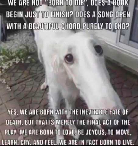 НАЕ НУР, DUAN BEGIN FINISH? DOES A SONG OPEN WITH A CHORD PURELY ТО END? YES. WE ДВЕ BORN WITH THE INEVITABLE FATE OF DEATH. BUT MERELY THE FINAL ACT OF THE PLAY WE ARE BORN ТО LOVE, BE JOYOUS. ТО MOV