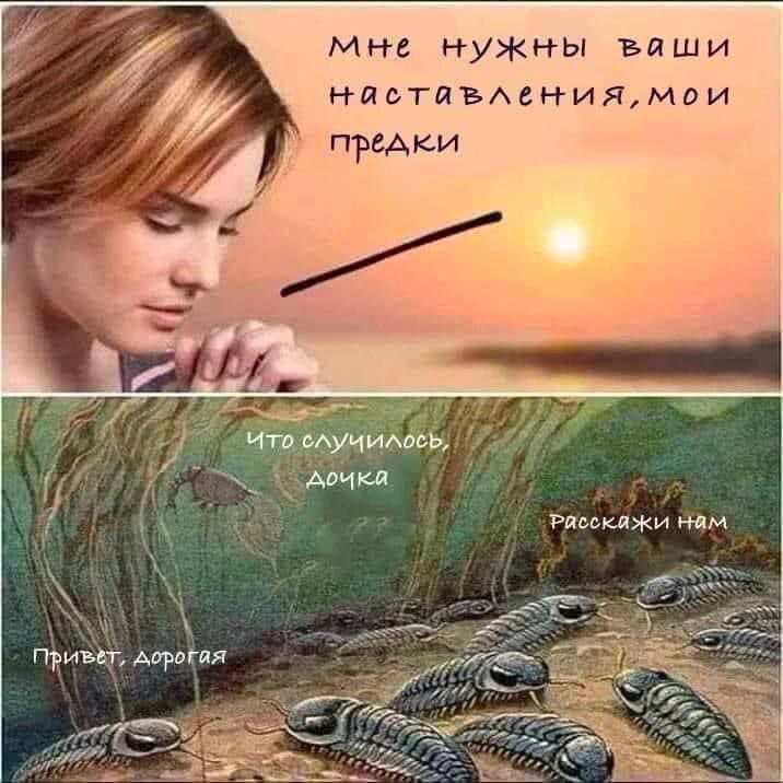 мне нужны ваши нястявления, мои предки 4 у нам PRESS