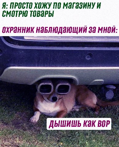 Я: ПРОСТО ХОЖУ ПО Магазину и СМОТРЮ ТОВАРЫ ОХРАННИК НАБЛЮДающий 3a МНОЙ: ДЫШИШЬ Как BOP