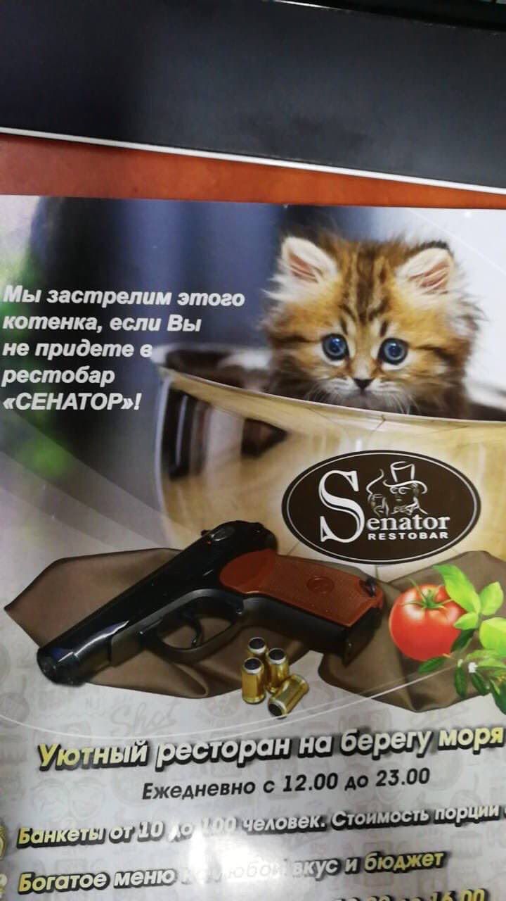 Мы застрелим этого котенка, если Вы не придете в рестобар «СЕНАТОР»! ator RESTOBAR моря a порции гатоеменю