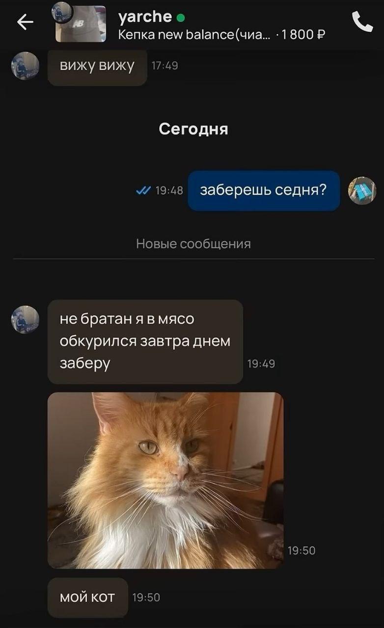 yarche Кепка new Ба!апсе(чиа вижу вижу 17:49 Сегодня 19:48 заберешь седня? Новые сообщения не братан я в мясо обкурился завтра днем 19:49 заберу a 19:50 МОЙ KOT 19:50