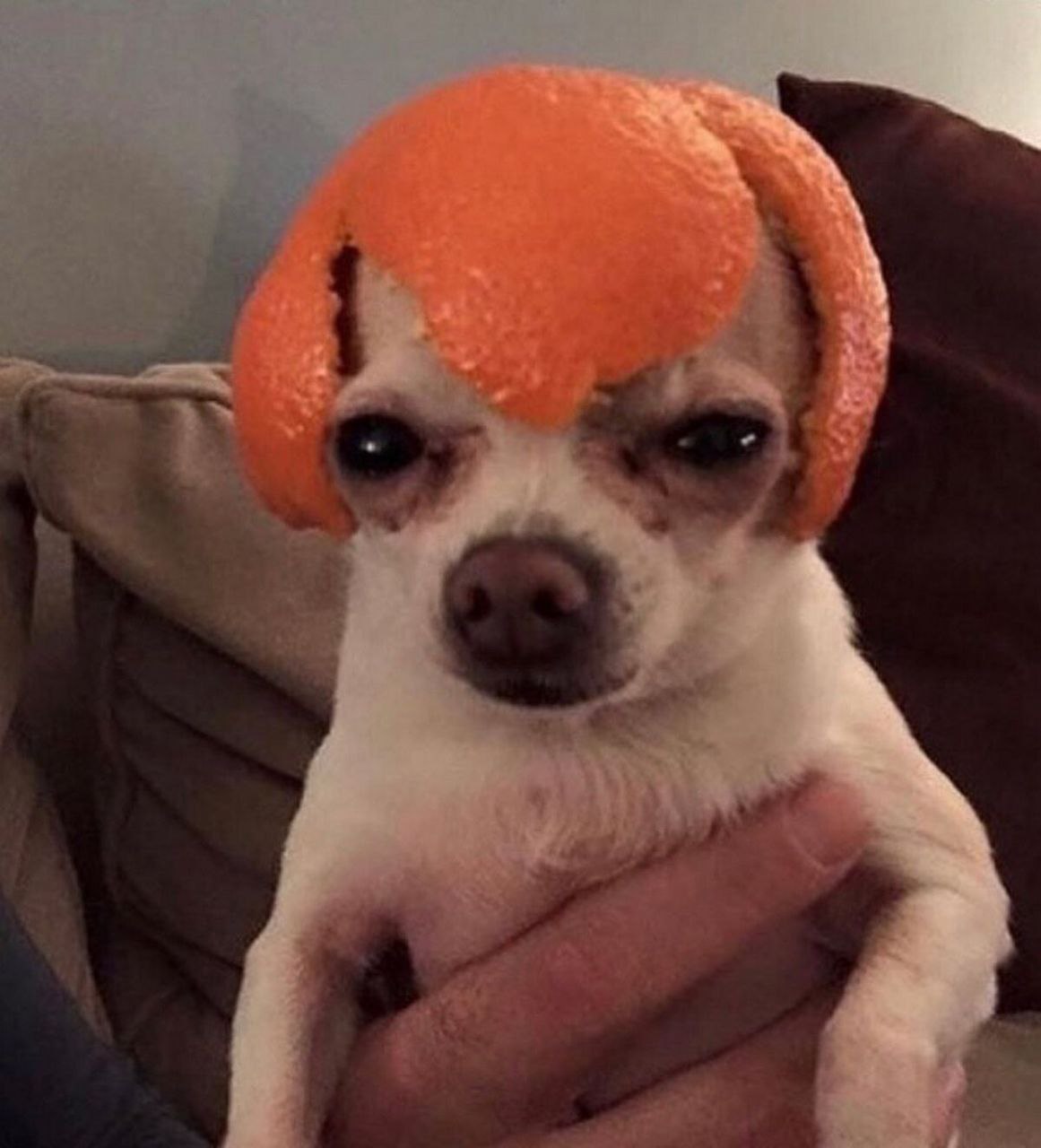 Гн