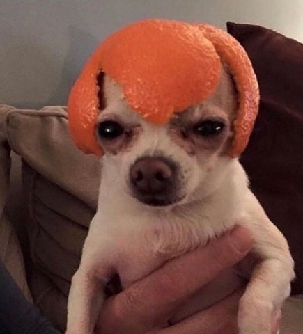 Гн