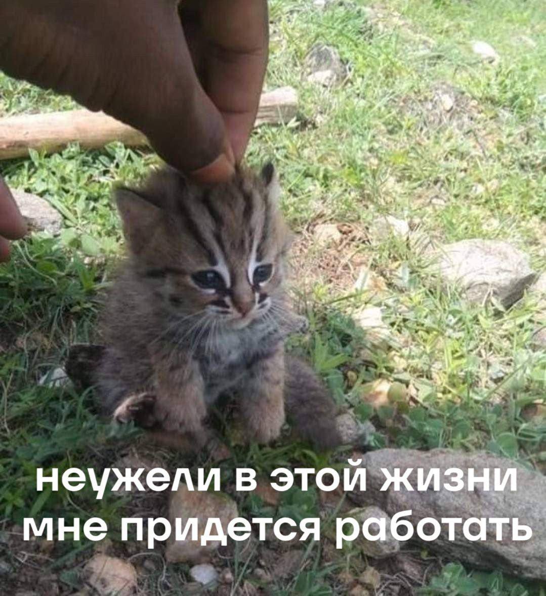неужели в этой жизни мне придется работать