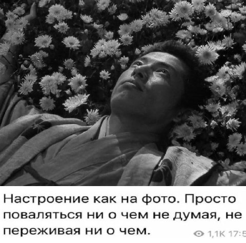 Настроение как на фото. Просто поваляться ни о чем не думая, не переживая ни о чем. 17: