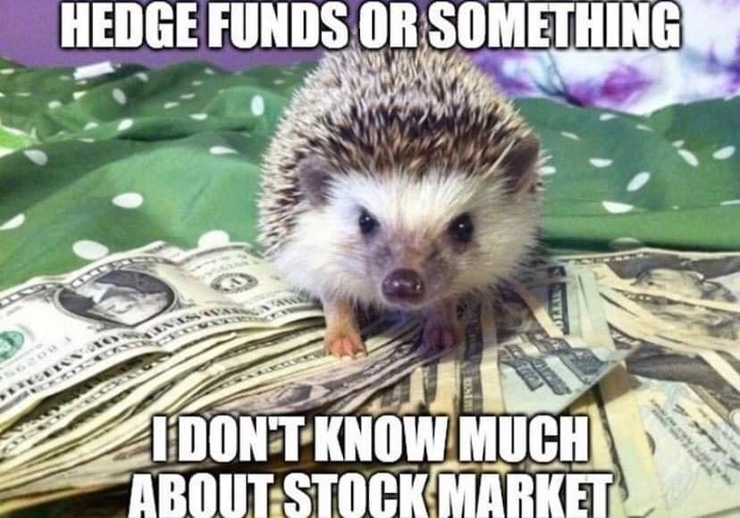 HEDGE FUNDS. OR: SOMETHING 4 a 2 ‘DONT KNOW MARKET