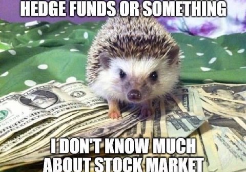 HEDGE FUNDS. OR: SOMETHING 4 a 2 ‘DONT KNOW MARKET