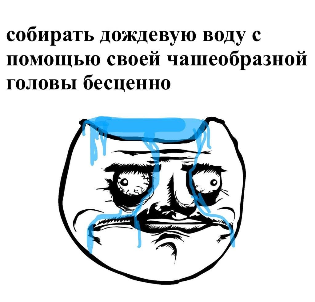 собирать дождевую воду с помощью своей чашеобразной головы бесценно