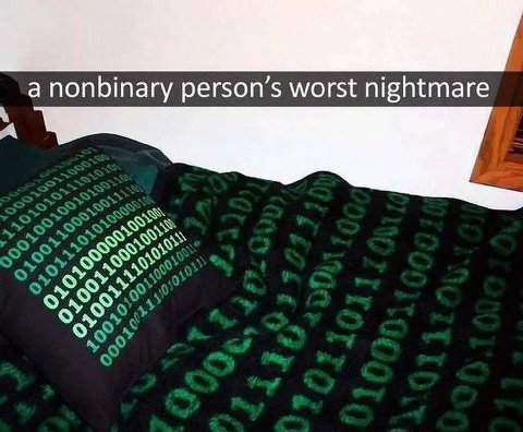 а nonbinary person’s worst nightmare A