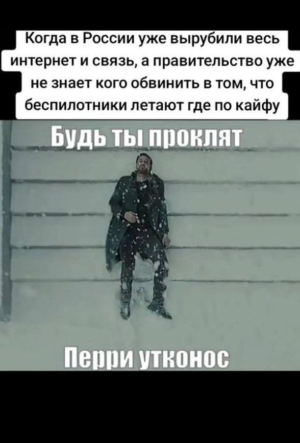 Когда в России уже вырубили весь интернет и связь, а правительство уже не знает кого обвинить в том, что беспилотники летают где по кайфу Будь ты проклят Перри утконос