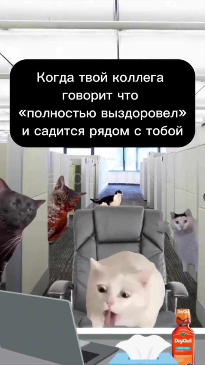 Когда твой коллега говорит что «полностью выздоровел» и садится рядом с тобой