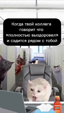 Когда твой коллега говорит что «полностью выздоровел» и садится рядом с тобой