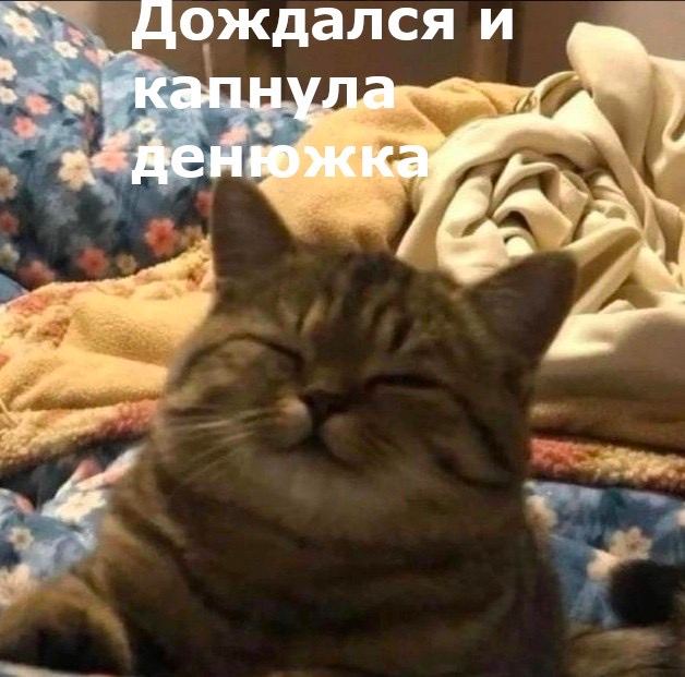 Дождался и