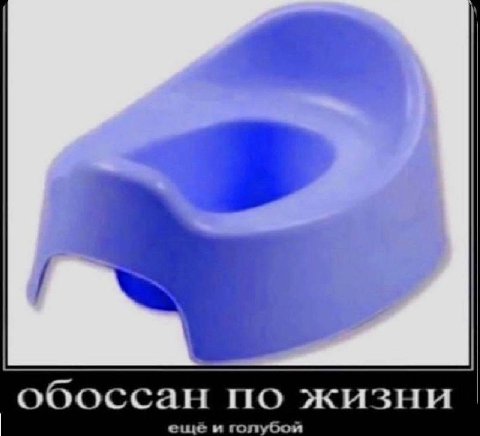 обоссан по жизни ещё и голубой