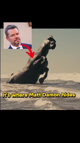 It's\wherejMatt/Damonjhides)