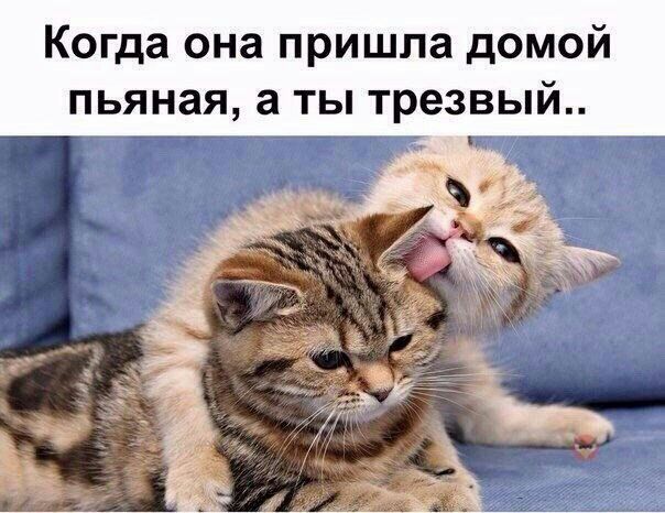 Когда она пришла домой пьяная, аты