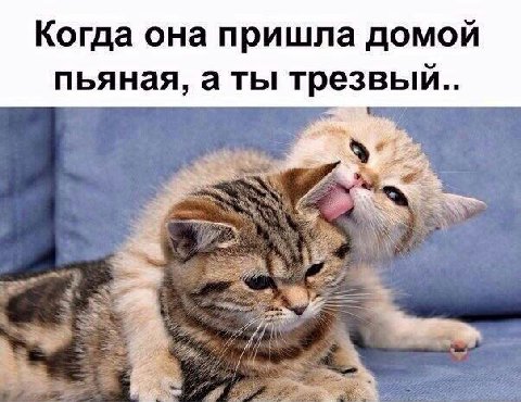 Когда она пришла домой пьяная, аты