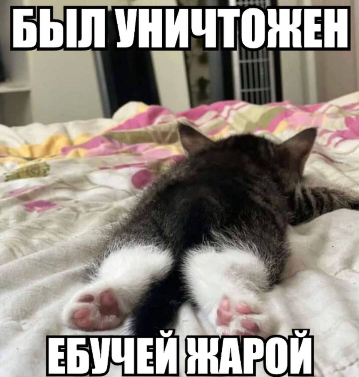 БЫЛ УНИЧТ ТОЖЕН