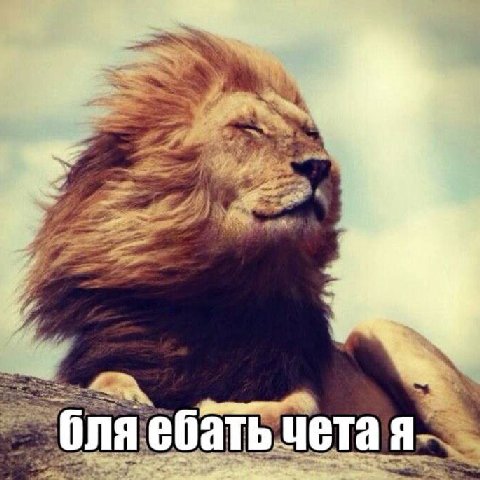 an) a бат ета