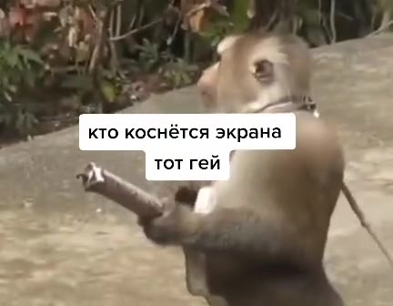 =~ кто коснётся экрана