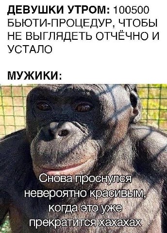 ДЕВУШКИ УТРОМ: 100500 БЬЮТИ-ПРОЦЕДУР, ЧТОБЫ НЕ ВЫГЛЯДЕТЬ ОТЧЕЧНО И УСТАЛО МУЖИ it NIN CHOB про невероятно красив а это Koro пре