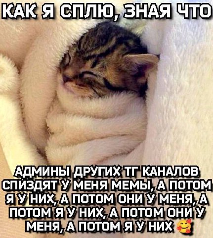 АДМИНЫ СПИЗДЯТ НИХ; А ПОТОМ