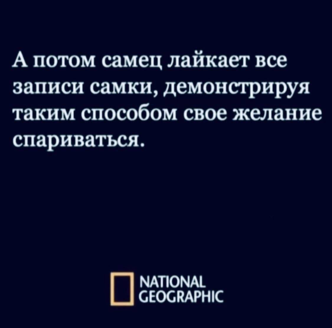 А потом самец лайкает все записи самки, демонстрируя таким способом свое желание спариваться. NATIONAL GEOGRAPHIC