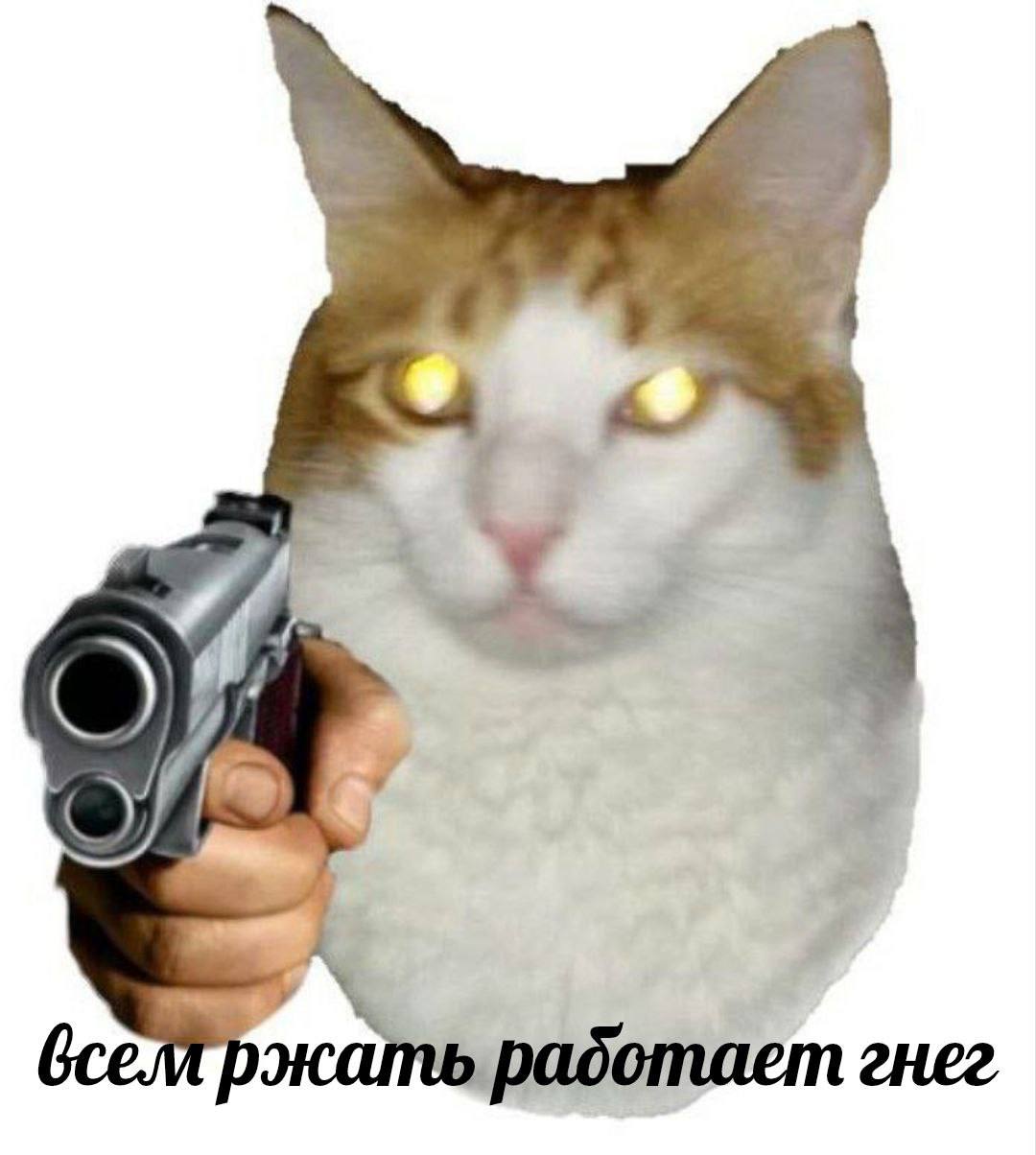 работает гнег
