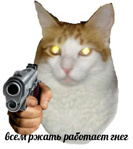 работает гнег