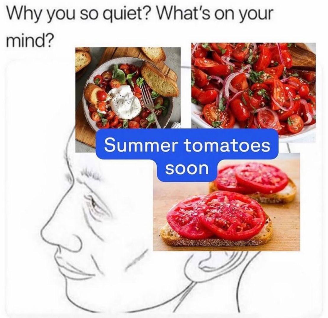Why you so quiet? What's your mind? a) Summer to matoes soon A