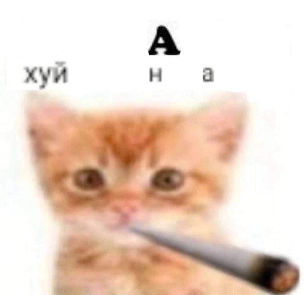А хуй на