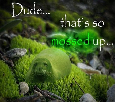 that’s so UP...