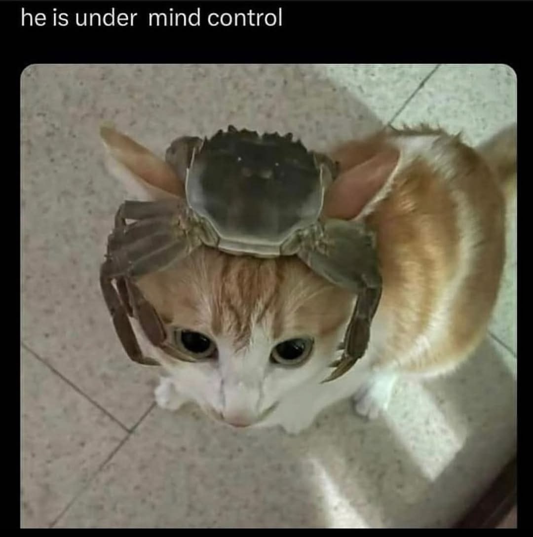 1$ under mind control