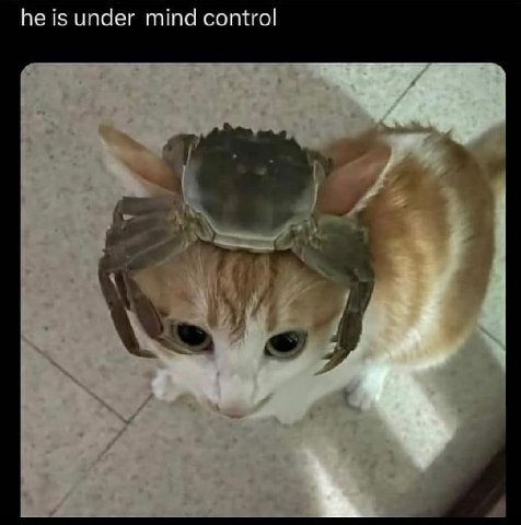 1$ under mind control
