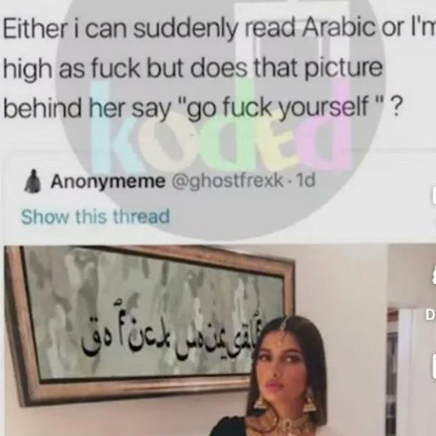 Either ican suddenly read Arabic or I'n high as fuck but does that picture behind her say fuck yourself 4 Апопутете Show this thread