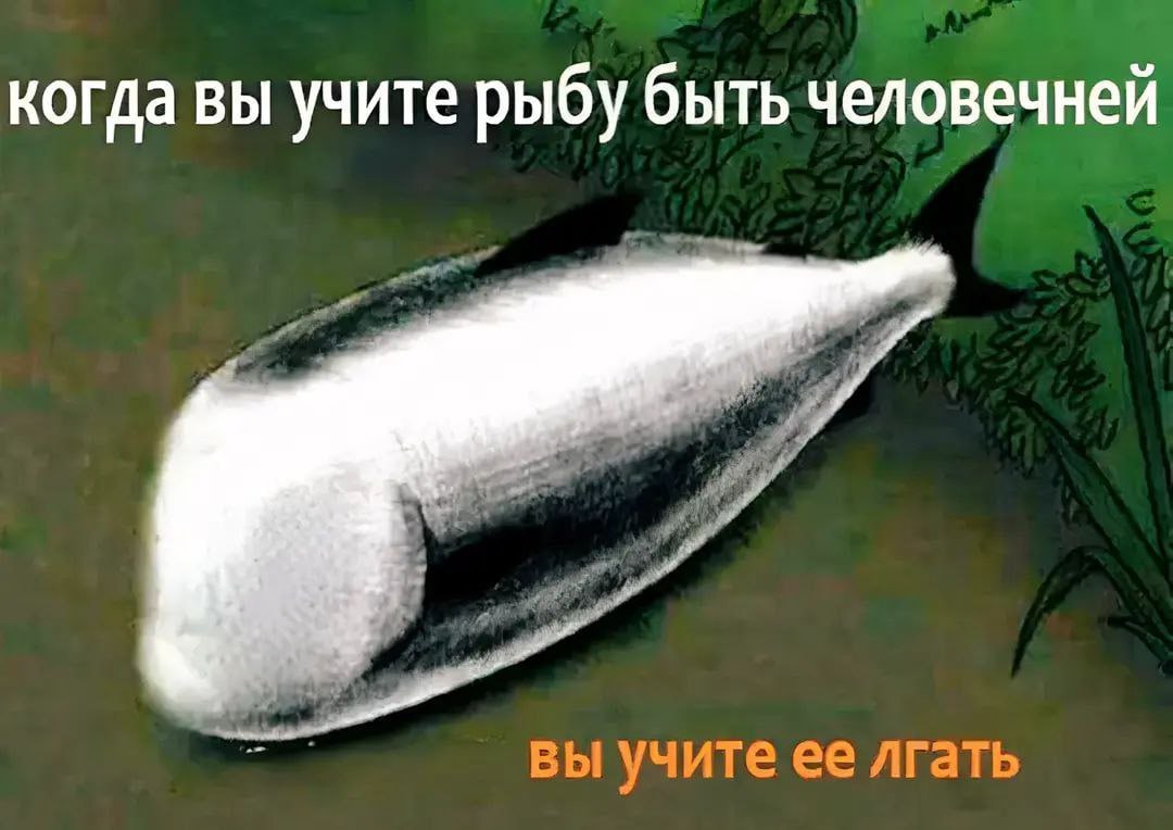 когда вы учите рыбу быть человечней вы учите ее лгать