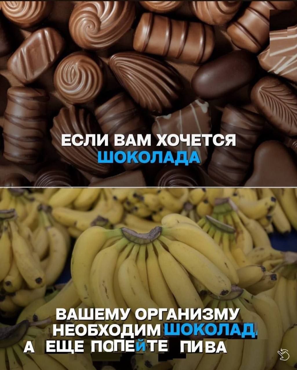 ЕСЛИ ВАМ ХОЧЕТСЯ ВАШЕМУ ОРГАНИЗМУ НЕОБХОДИМ А ЕЩЕ ПОПЕ ПИВА