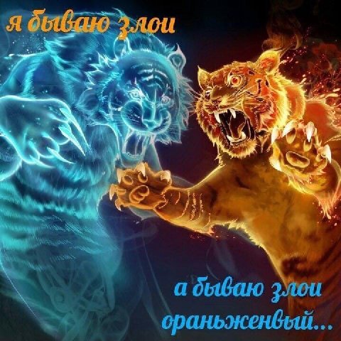 я бываю злой а бываю злой оранжевый