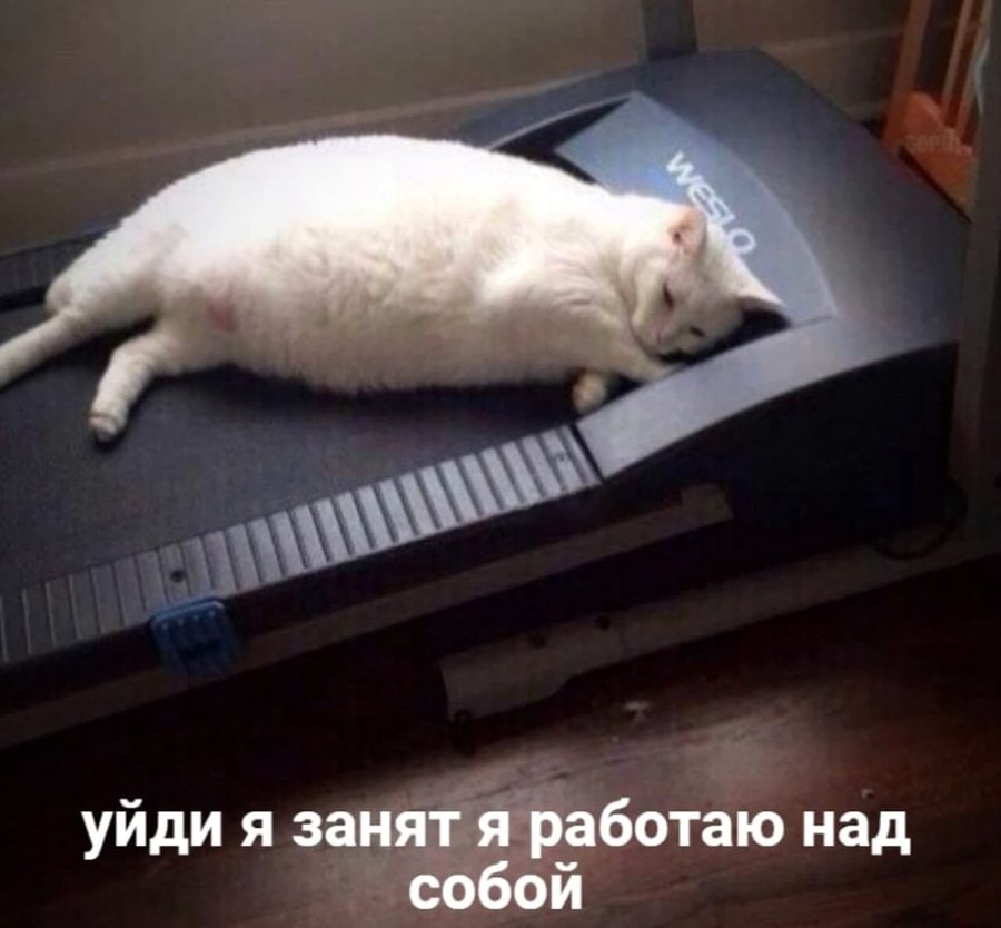 уйди я занят я работаю над собой
