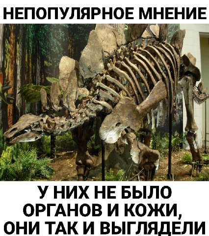 НЕПОПУЛЯРНОЕ МНЕНИЕ be 2% УНИХ НЕ БЫЛО ОРГАНОВ И КОЖИ, ОНИ ТАК И ВЫГЛЯДЕЛИ