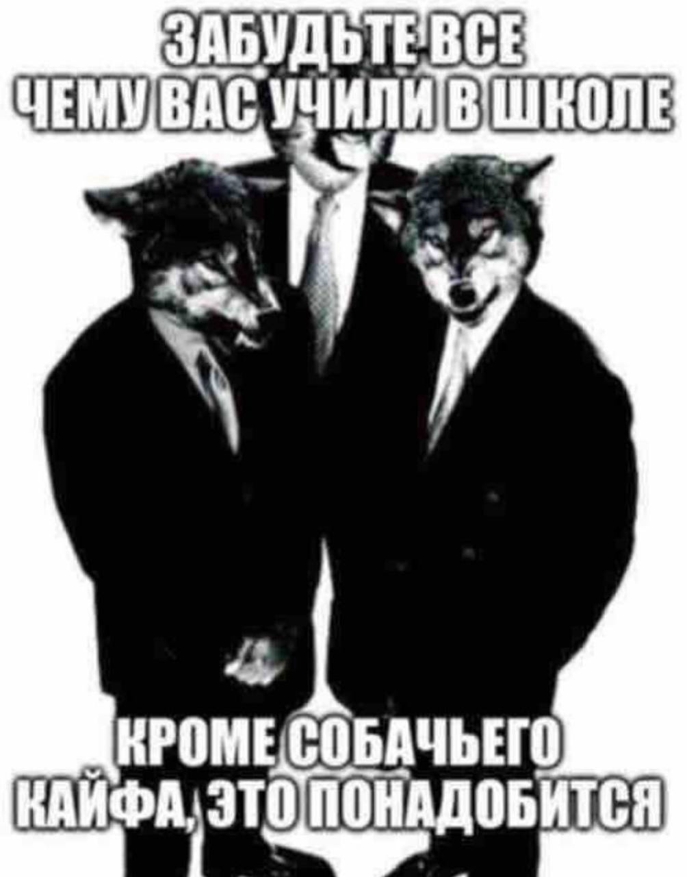 АБУДЬТЕВСЕ ЧЕМУВАС ШКОЛЕ КРОМЕСОБАЧЬЕГО Hon