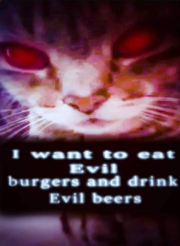 eat burgers and drink beers