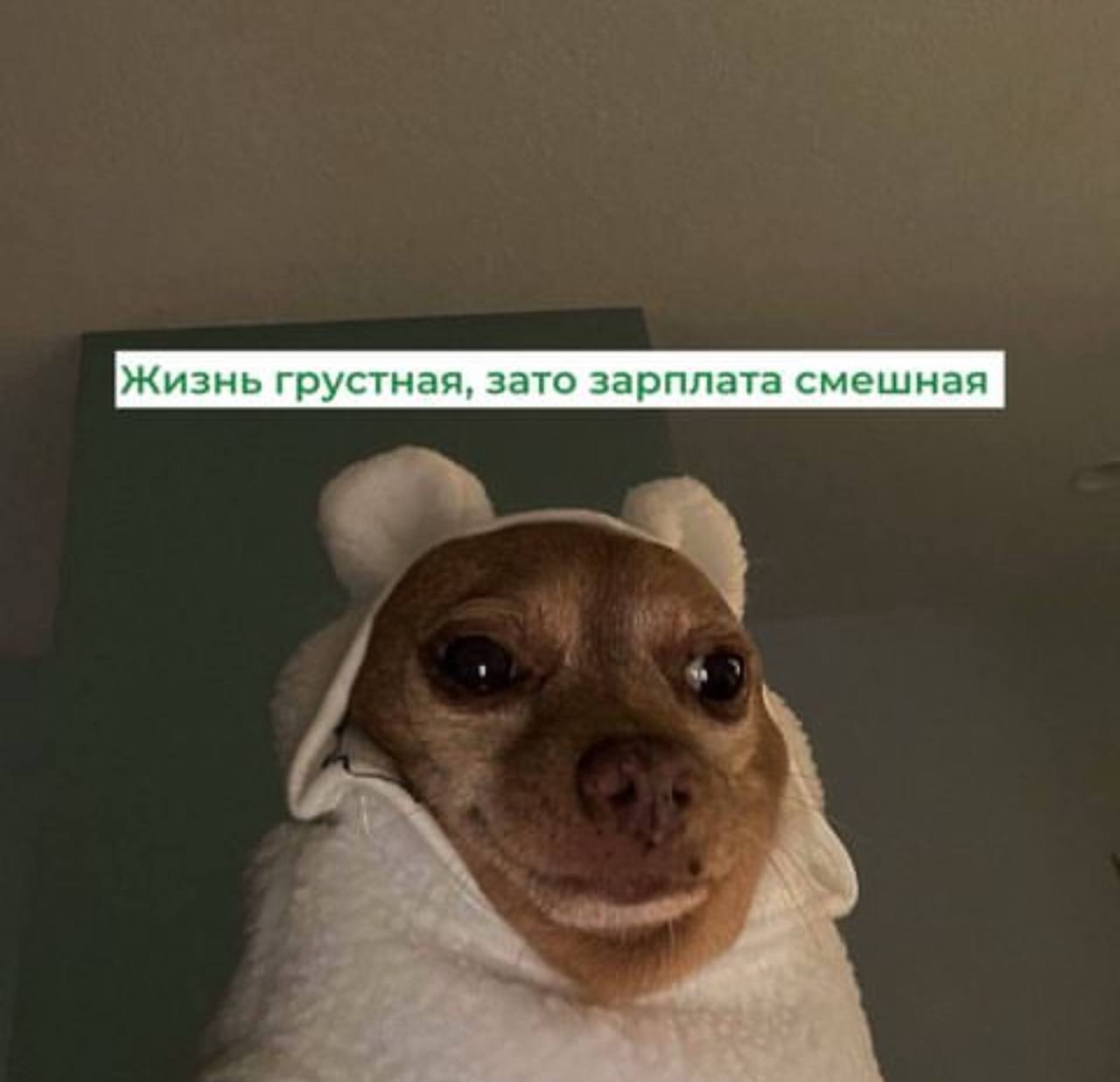 Жизнь грустная, зато зарплата смешная
