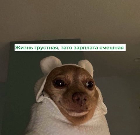Жизнь грустная, зато зарплата смешная
