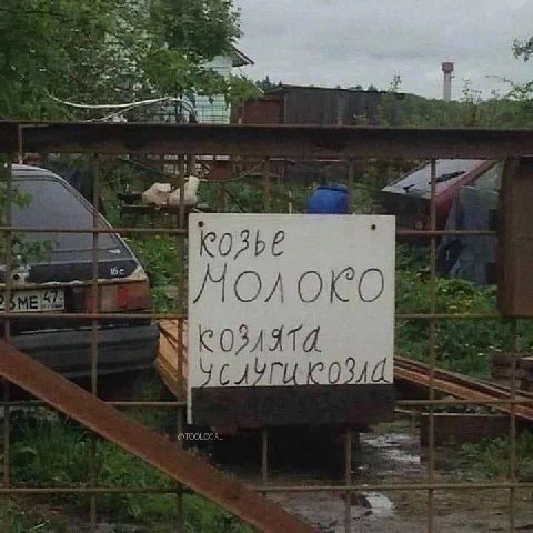 OKO